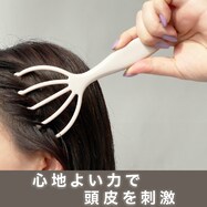 トウヒリフレッシュブラシ(DH19 ライトモカ)