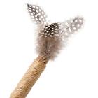 キャット用トイ(フェザー) 5枚目画像