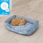 ペットベッド 四角 M(Nクール シカク M D01) 1枚目画像