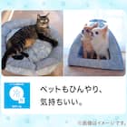 ペットベッド 四角 M(Nクール シカク M D01) 2枚目画像