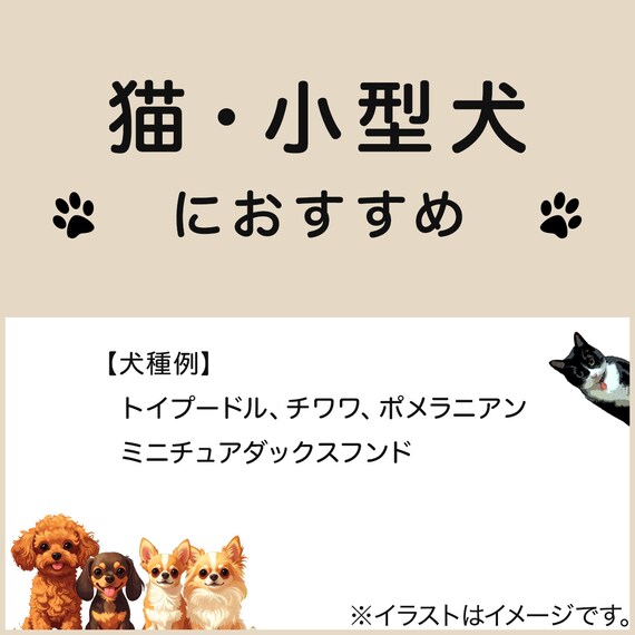 ペットベッド 四角 M(Nクール シカク M D01) 6枚目画像