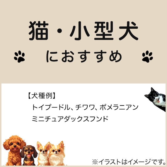 ペットベッド 四角 M(Nクール シカク M D01) 6枚目画像