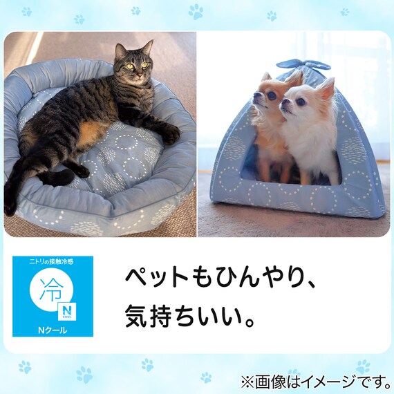 ペット あごのせ枕付マット M(Nクール M D01) 2枚目画像