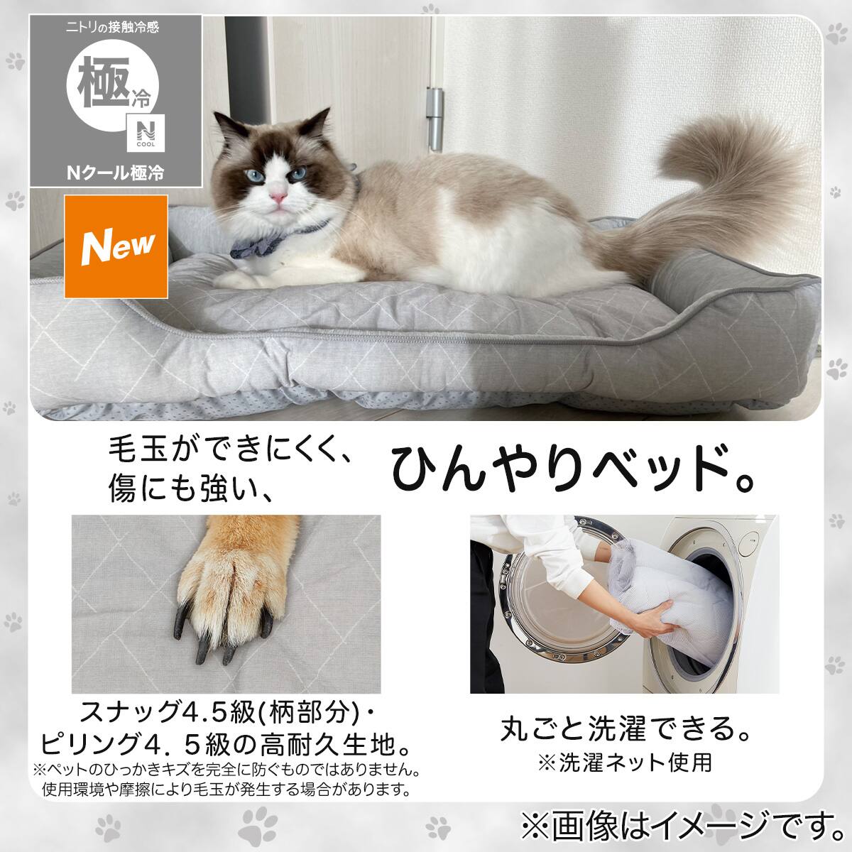 ペットベッド 四角 M(Nクール極冷 シカク M K03r) | ニトリネット