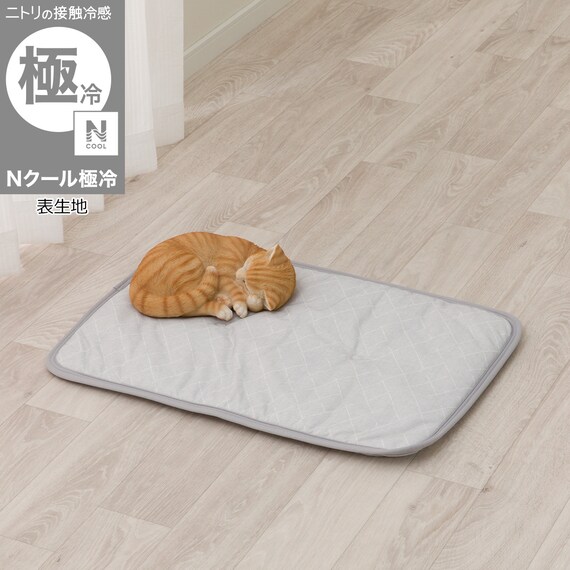 ペット敷パッド M(Nクール極冷 M K03) 1枚目画像