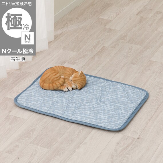 ペット敷パッド M(Nクール極冷 M B04) 1枚目画像