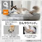 ペット あごのせ枕付マット M(Nクール極冷 M B04) 2枚目画像