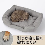 引っかき傷に強いペットべッド 四角(グレー)