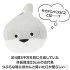 チャーム サカバンバスピス(DH26) 2枚目画像