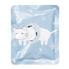 急速保冷剤 3点セット(デコネコ) 3枚目画像