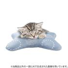 ペット用あごのせ枕(Nクール D01r) 2枚目画像