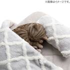 ペット用 布団カバーセット(中身マット別売り)(Nウォーム PC2501) 5枚目画像