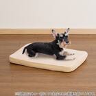 ふんわりコンフォートペットマットM(ベージュ PM01) 1枚目画像