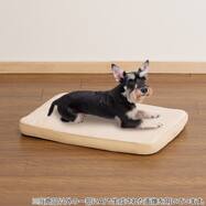 ふんわりコンフォートペットマット(PM01)