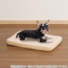 ふんわりコンフォートペットマットM(ベージュ PM01) 1枚目画像