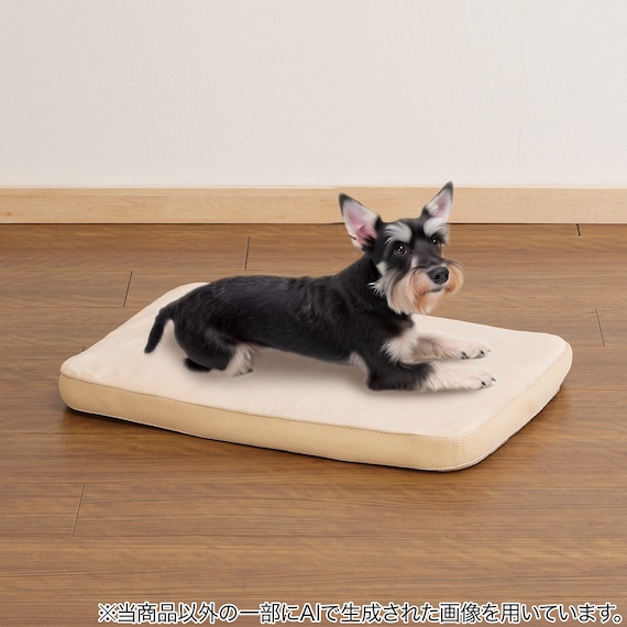 ふんわりコンフォートペットマットM(ベージュ PM01) 1枚目画像