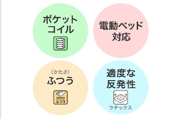 SDマット Nスリープ E3-04 VB 2枚目画像