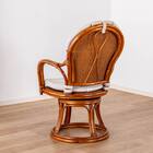 ラタンシーベルチェア(NTR207)【島忠ホームズ商品】 11枚目画像