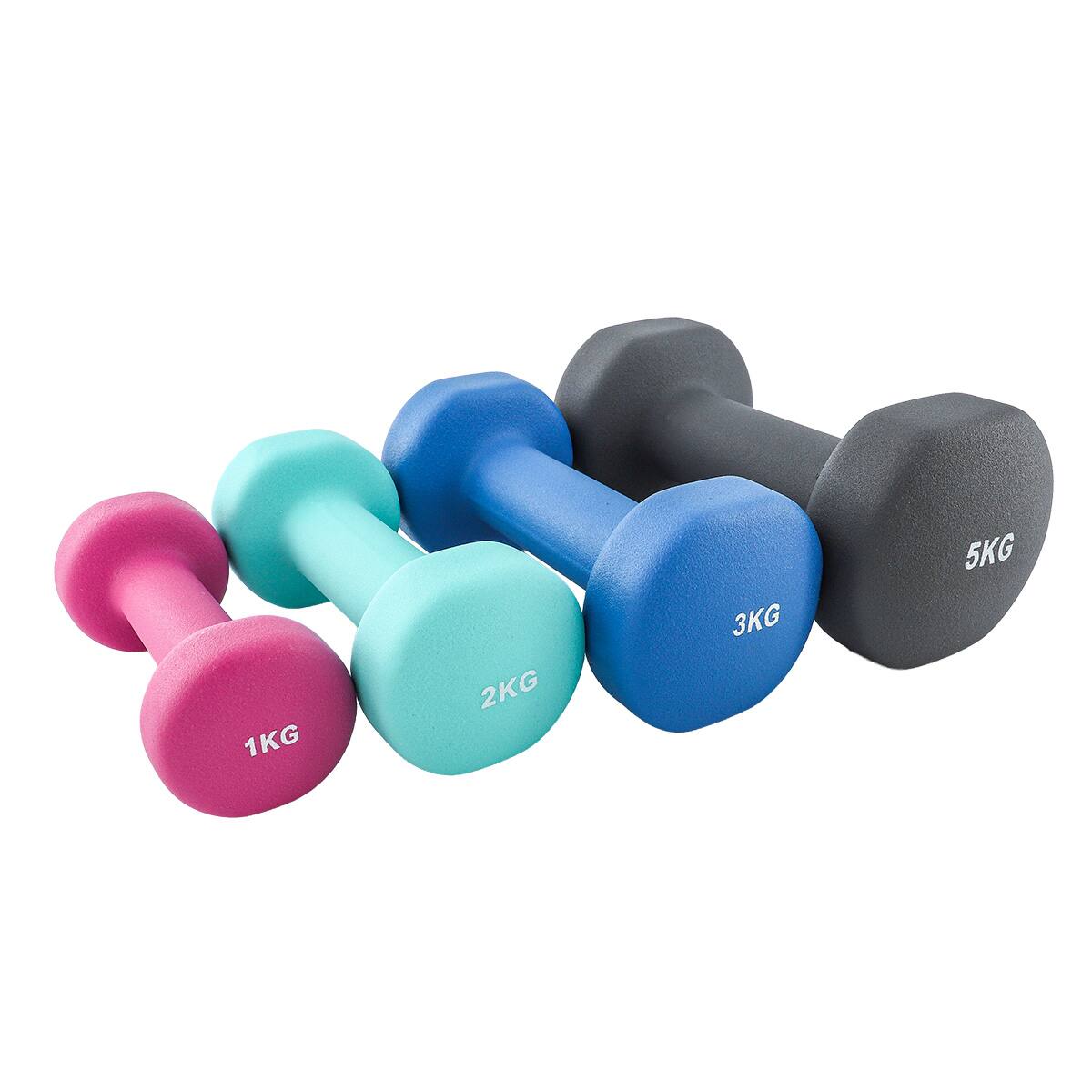 林　ダンベル ダンベル 2kg (DB-115)【島忠ホームズ商品】 | ニトリネット【公式