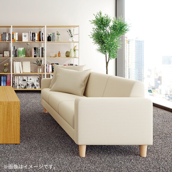 2人用布張りソファ(ライディ C-N1-CU07 NA/GY) 5枚目画像