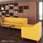 1人用合皮ソファ(フィーナNA D-12-6352 GR) 7枚目画像