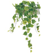 【単品・セット販売】フェイクグリーン(パーテーションポット GR4423)