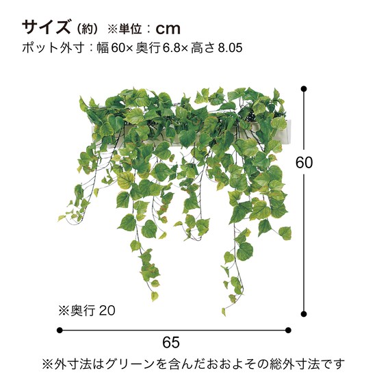 スライダー画像