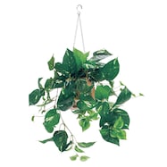 【単品・セット販売】フェイクグリーン(ハンギングポット GR4455 ミニキューブ)