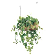 【単品・セット販売】フェイクグリーン(ハンギングポット GR4457 ワイド)