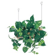 【単品・セット販売】フェイクグリーン(ハンギングポット GR4459 ワイド)