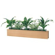 【単品・セット販売】卓上グリーンポット(GR4465 スリムタイプ NA)