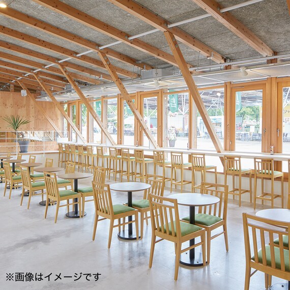 【8脚セット】木製チェア(カルースト SE NA/BE) 6枚目画像