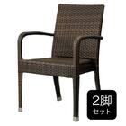 【2脚セット】ガーデンチェア(バミューダ 肘付き DBR) 1枚目画像
