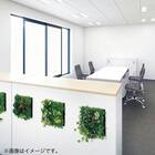 マグネットグリーン(GR1243 25角 Sサイズ) 7枚目画像