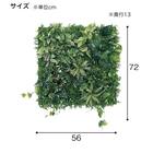 マグネットグリーン(GR1247 50角 Lサイズ) 13枚目画像