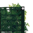 マグネットグリーン(GR1249 50角 Lサイズ) 3枚目画像