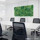マグネットグリーン(GR1249 50角 Lサイズ) 7枚目画像