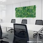 マグネットグリーン(GR1249 50角 Lサイズ) 7枚目画像