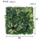 マグネットグリーン(GR1249 50角 Lサイズ) 11枚目画像