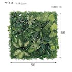 マグネットグリーン(GR1249 50角 Lサイズ) 11枚目画像