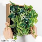 マグネットグリーン(GR1251 25角 Sサイズ 木目パネルタイプ) 4枚目画像