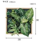 マグネットグリーン(GR1251 25角 Sサイズ 木目パネルタイプ) 9枚目画像