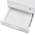 ワゴン(MGN WH) 12枚目画像