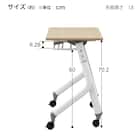 会議用テーブル(NT-7545 NF10 スチール幕板付き WN/BK) 13枚目画像