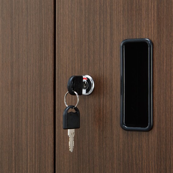 スチール書庫(TSNS2 03N 両開き戸 木目柄WN) 10枚目画像