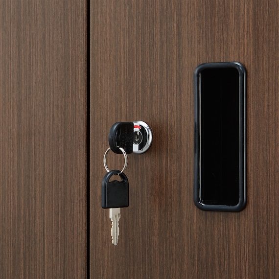 スチール書庫(TSNS2 03N 両開き戸 木目柄WN) 10枚目画像