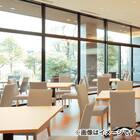 木製チェア(メルカAW Z-10-1 肘付き DBR/IV) 6枚目画像