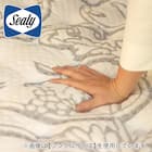 シーリーセミダブルマットレス(SL-6950) 12枚目画像