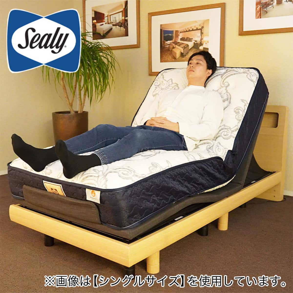 商談中　直来　★セミダブルベット★引出し　コンセント付き フレーム　ニトリ　マットレス　シーリー Sealy 寝具 ベット ベッド 収納付きベッドフレーム セミダブル (アザン3 引き出し付き 浅型 LBR3