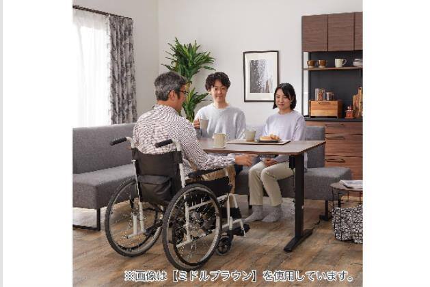 NB-2MB ビルトリ品　2024新札対応　全国送料無料　6台 ｼｮｳｺｳﾃﾞﾝﾄﾞｳDT120LBR JT341 | ニトリネット【公式】 家具・インテリア通販